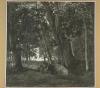 media/Jacob  Koninck ‎(I)‎ 1625-1680 Rustend vee in een bos.jpg
